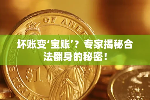 济南坏账变‘宝账’？专家揭秘合法翻身的秘密！