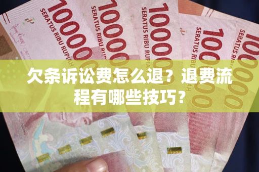 济南欠条诉讼费怎么退？退费流程有哪些技巧？