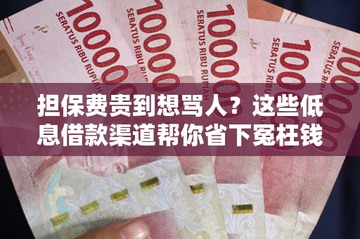 济南担保费贵到想骂人？这些低息借款渠道帮你省下冤枉钱