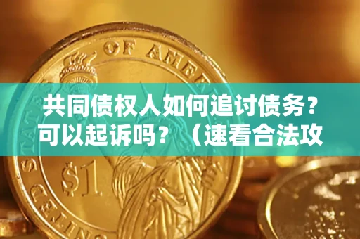 济南共同债权人如何追讨债务？可以起诉吗？（速看合法攻略）